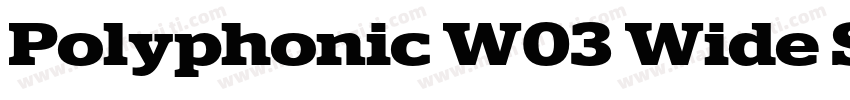 Polyphonic W03 Wide SemiBold字体转换